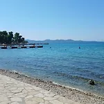 Aurelia * Zára