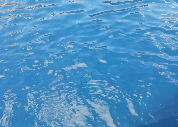 Apartament Aurelia *